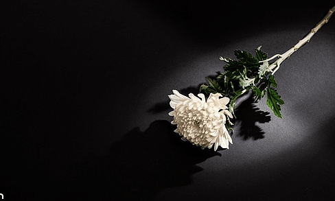 7bf3c028e2f206a26d81f6e44483776fff