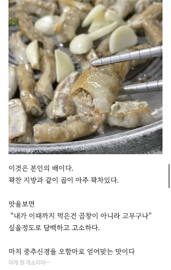 IMG_1632.jpeg 볶음밥갤러리에 침투한 곱창집리뷰