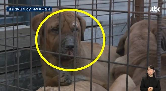 사진=JTBC 뉴스 갈무리