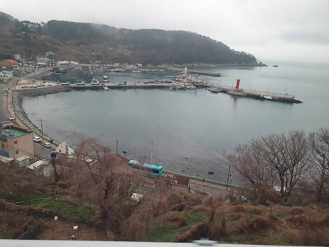 가덕도신공항 건설 예정지인 가덕도 대항 일대 모습. 최종훈 기자