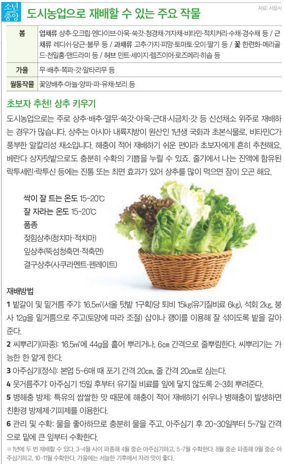 도시농업 추천 작물
