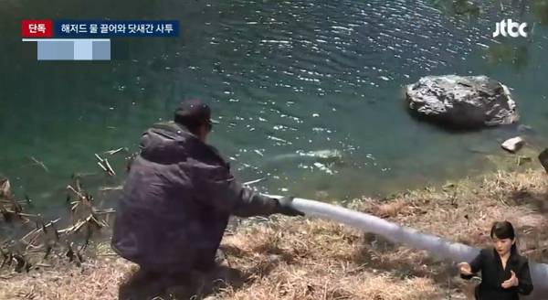 경북 의성 산불이 안동으로 번지자 안동 한 골프장 캐디와 직원들이 골프장 내 연못(해저드) 물로 불을 껐다. 사진은 골프장 직원들이 해저드 물을 끌어가는 모습. /사진=JTBC 방송 캡처