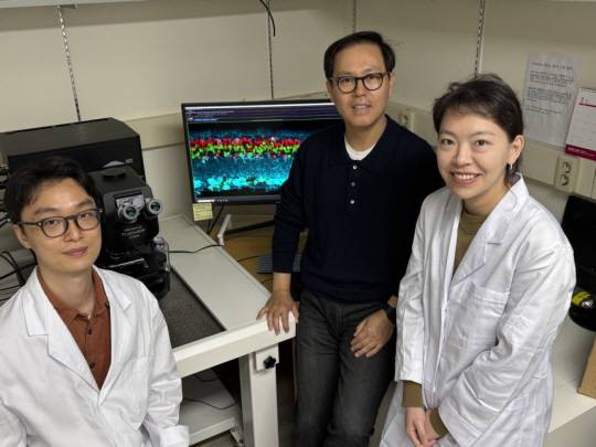 망막 질환 치료법을 찾아낸 KAIST 연구진. KAIST 제공