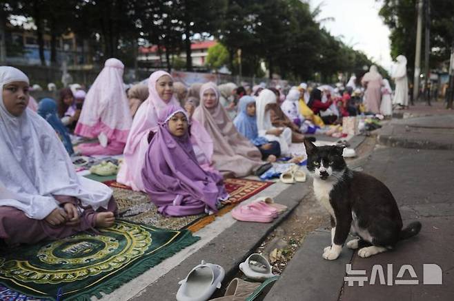 [자카르타=AP/뉴시스] 31일(현지 시간) 인도네시아 자카르타의 한 거리에서 무슬림 여성들이 라마단 성월의 끝을 알리는 이드 알피트르 기도를 준비하는 동안 길고양이 한 마리가 인도 위에 앉아 있다. 2025.03.31.