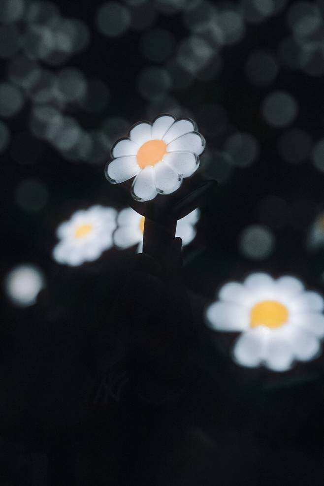 데이지꽃 모양을 한 지드래곤 팬 응원봉. 갤럭시코퍼레이션 제공