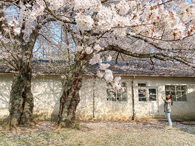 동부사택. 동해시 제공