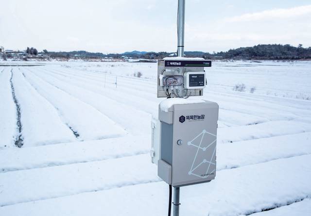 노지 양파의 품질을 관리하기 위해 노지 스마트 시스템을 설치해 활용하고 있다.