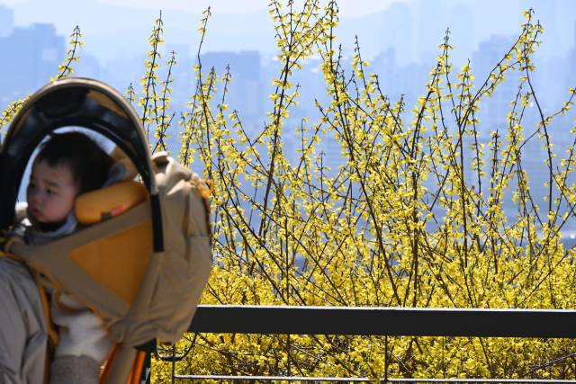 기온이 큰 폭으로 오르며 평년 수준을 회복한 31일 서울 성동구 응봉산에서 한 아이가 어머니의 등에 업혀 있다.