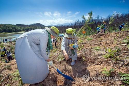 산불피해지 산림복원     (고성=연합뉴스) 산림청이 19일 고성군 토성면 용촌리에서 개최한 '숲으로 만드는 평화와 번영, 새산새숲! 강원 고성 산림생태복원의 숲 조성 행사'에서 참가자들이 묘목을 심고 있다. 2019.9.19 [고성군 제공.재판매 및 DB 금지]
    momo@yna.co.kr
