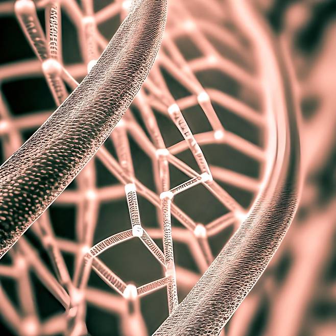 현미경으로 들여다 본 섬유의 모습./Pixabay