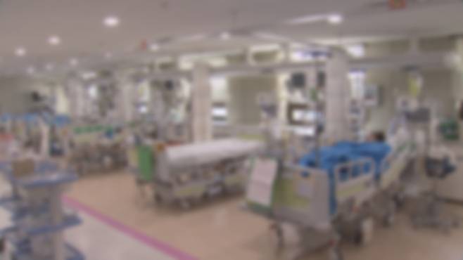 사진은 기사 특정 내용과 관련 없음