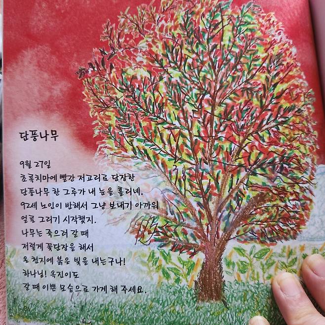 박옥진 토론토한인장로교회 권사가 펴낸 그림책 중 '단풍나무'. 교회 제공