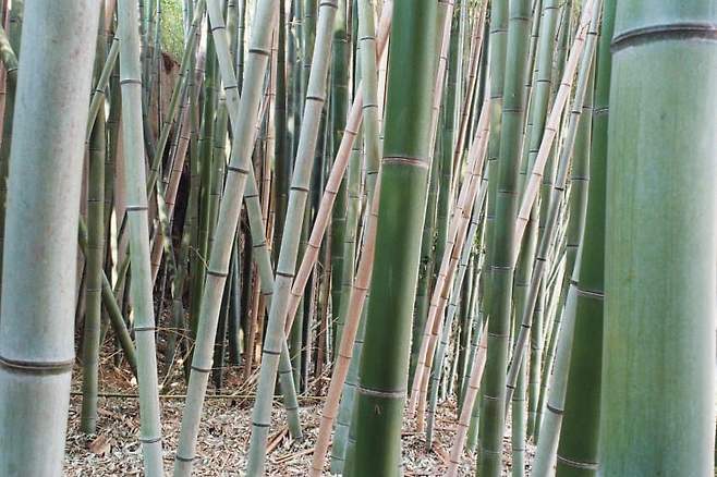 7be48677b08760f423e785e6339c701eb1eead78c5cd2e83037fe4290b480715cebf318582e3a7014e644e1f6b8fdbda5569613aa8