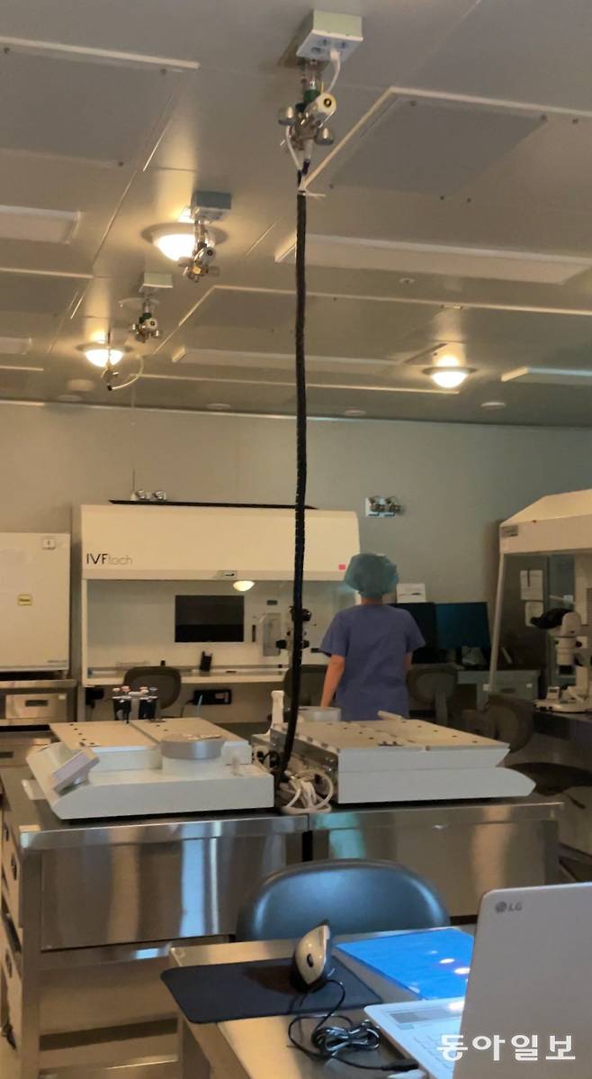 연구원이 채취된 난자를 동결 가능한 상태로 작업하고 있다. 난자 동결 과정은 의료진과 임상 배아 연구원의 정교한 작업으로 이뤄진다.