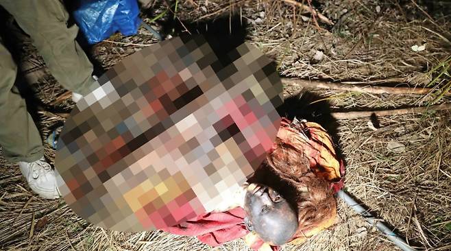 지난달 독일에서 사람의 유해로 오인된 성인용 장난감. 사진=독일 DPA 통신