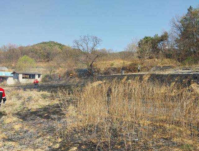 1일 집 옆 밭에서 농부산물을 태우다 80대 여성이 숨진 밭. 잡초와 밭둑이 시커멓게 탔다. 경북소방본부 제공