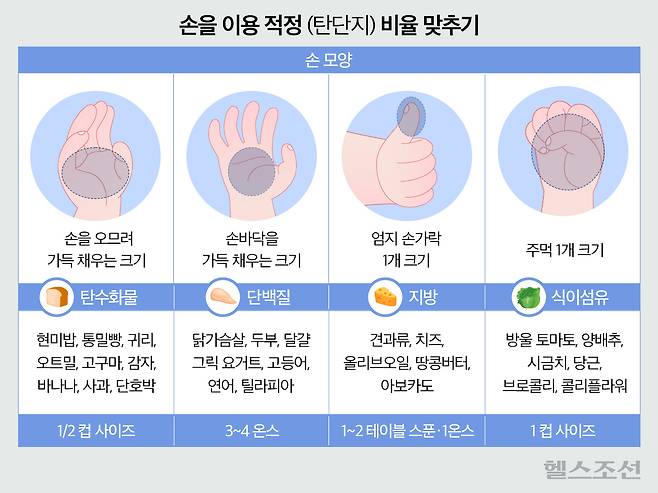 영국의 영양학자가 한 끼에 섭취할 적정 탄수화물·단백질·지방 비율과 식이섬유의 양을 ‘손’을 이용해 확인할 수 있다고 밝혔다./그래픽=김민선
