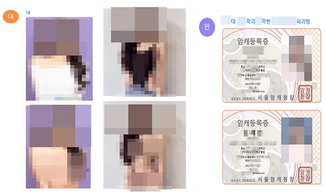 성범죄물과 가짜 신분증. 인천경찰청 제공
