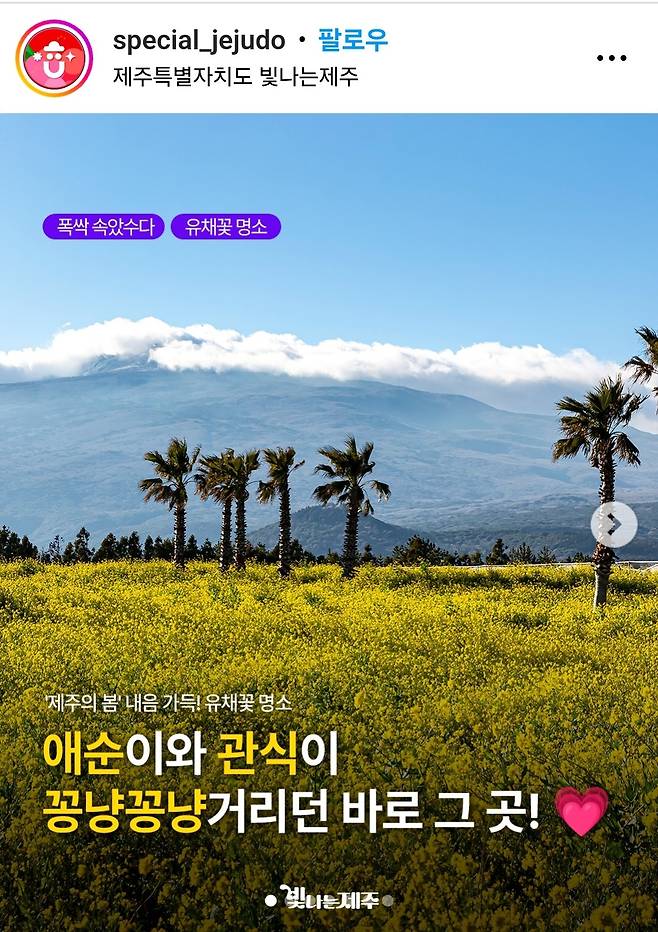 폭싹 속았수다 촬영지 관련 SNS 게시글 [제주도 SNS 캡처]