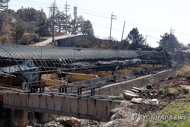 덮개가 탄 양식장 (영덕=연합뉴스) 손대성 기자 = 1일 경북 영덕군 영덕읍 석리 한 양식장이 산불로 덮개가 타면서 뼈대만 남아 있다.
    영덕은 지난달 25일과 26일 경북산불이 확산하면서 큰 피해가 났다. 2025.4.1 sds123@yna.co.kr