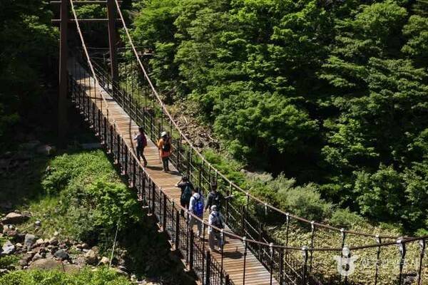 한라산 (출처=ⓒ한국관광공사 포토코리아-김지호)