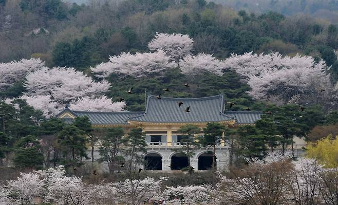 봄의 호암미술관 전경.