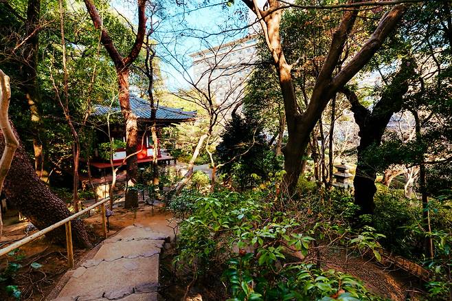 봄이면 230그루 이상의 벚나무가 만개해 핑크빛으로 물드는 일본식 정원