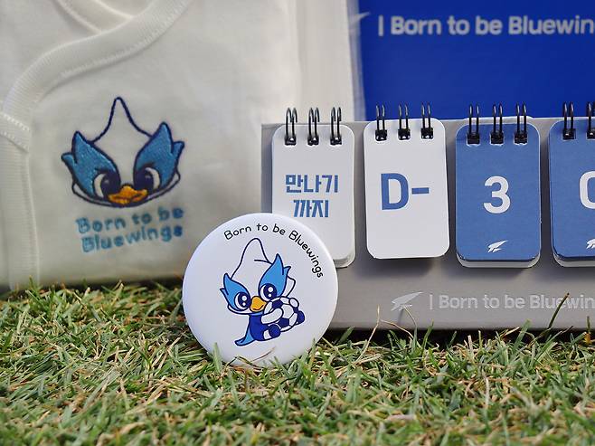 수원 삼성이 '본투비 블루윙즈' 프로젝트를 시작한다.(수원 제공)