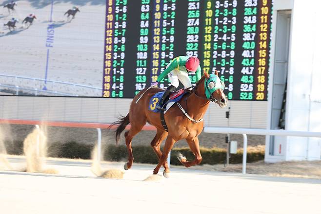 오아시스블루. 사진=한국마사회