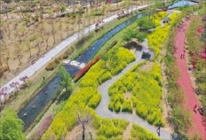 부산 신평장림산업단지에 조성하는 도시숲.