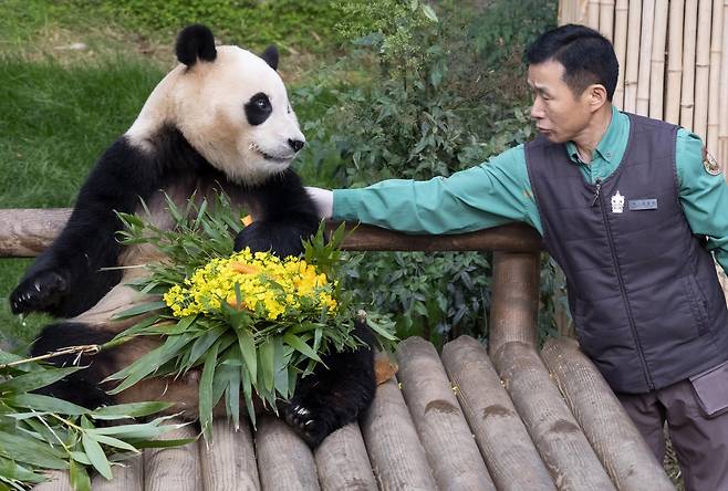 에버랜드에서 푸바오를 일반 국민들에게 마지막으로 공개했을때의 모습