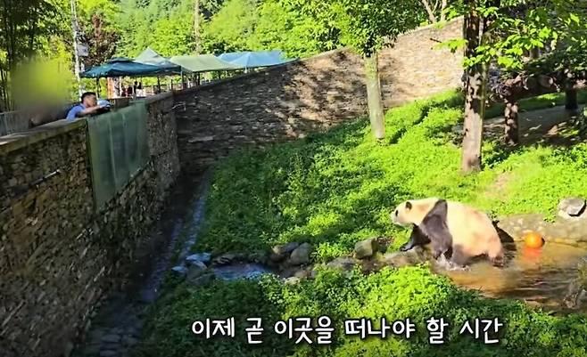 작년 7월 강철원 주키퍼와 재회한뒤 헤어지기 직전 눈을 마주치는 모습