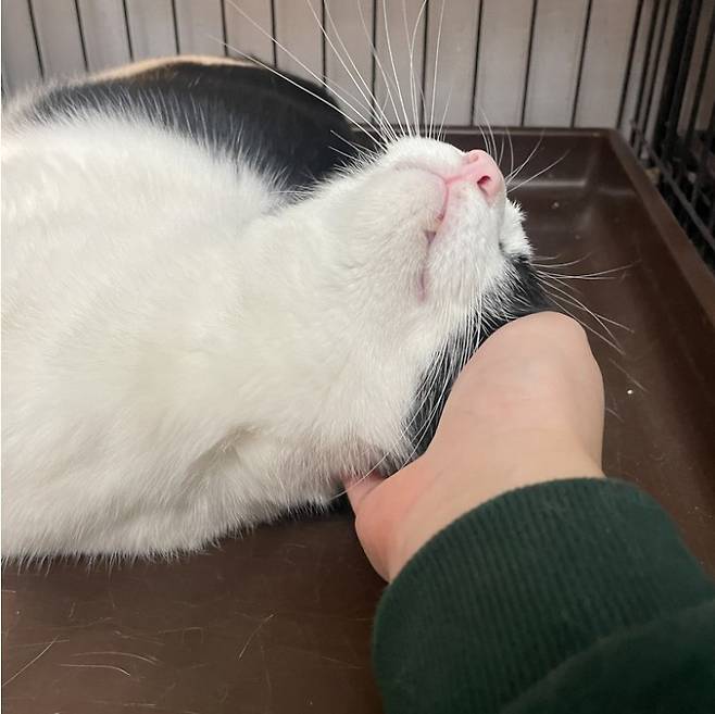 사람을 정말 좋아하는 원이 (나비야사랑해 제공) ⓒ 뉴스1