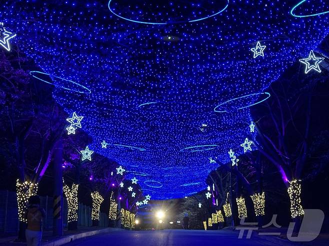 제3회 고창 벚꽃축제 야간 경관조명(고창군 제공. 재판매 및 DB금지)