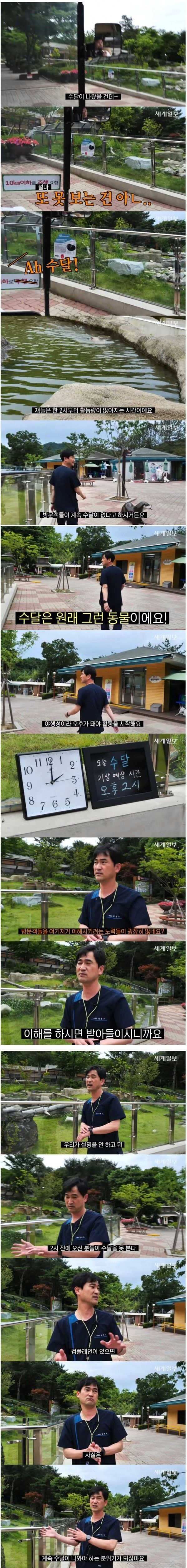 image.png 자연친화적으로 운영하는 청주동물원