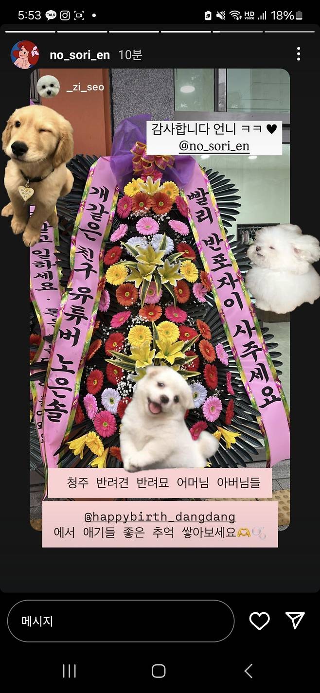 페북스타 조창우x 릴스 유튜버 노은솔 크로스