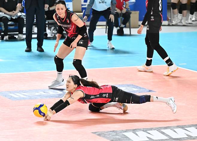 정관장 노란. 한국배구연맹