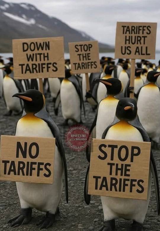 트럼프 관세에 항의하는 펭귄들 /엑스