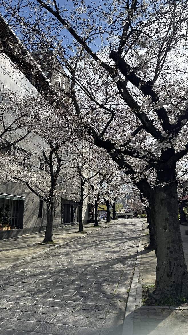 74ebf302b5831dfe239b83e7439c70641d046dc222a26d3fe74391a011b9abd960ce770393e50a29a4293f5a4d9ad42459a8ad152500