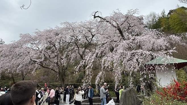 7aebf303b38069f223e88093349c706b89f84295bbaf6f2b1ba36ef24ae3b93243d395a74545caead26e44ea11476b52f9f452d523