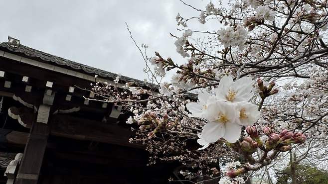 749c8500c08b6cf6239df3e54e9c7069c4a5dc67995f523427b225a40913137001bfa96c1cff9de01c5845117708c389120a2dfe16