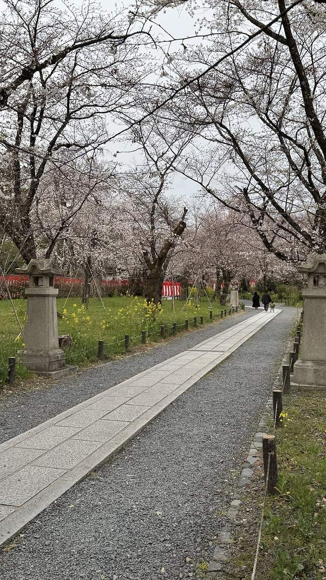 099e8977b08a1cf523ed8fe1419c706594940bc1eca2f4ac0891bdeac09835b6dfde71dba6446c3768ee3ac7f58dd559f16e1673d8d4