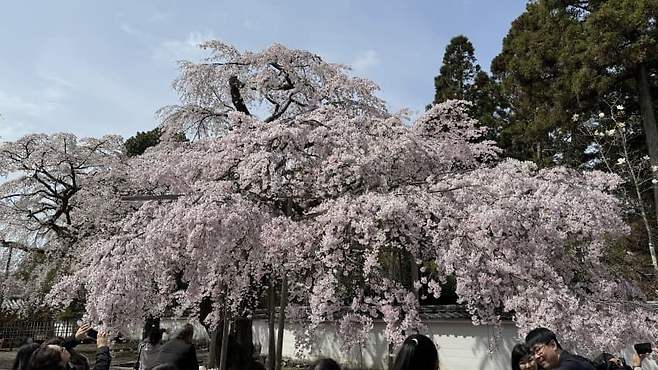 7ae8f677b580698423ef82964e9c701ca365836285fefe3260de994030e92e4e79b7094aad320fd20957b522c96cf1c08271360609