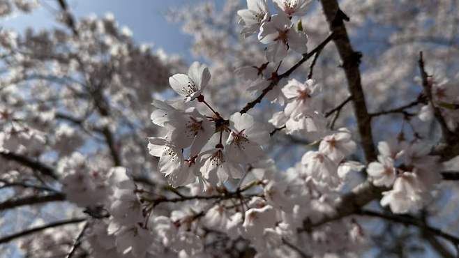 0f9e8505bdf468f3239cf496379c706a96fcb30743fbd6493daf164231b65b507eca90e765b281c813f2649eedb6aea6a35a617b97