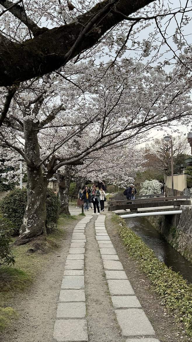 7ae4f503c6806c82239a85e7339c706f75a668eb4f3fff606b024fb7177969d084e1a86b8c8983524ed94dffe66e57a6cad28a68e2