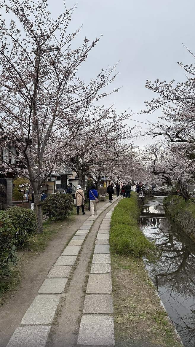 7aeff405b4f31cfe23eaf7ed439c701bb9f513f8640bf611800dfb966faf8e6b7d70ff938e6af72ad9d20b0f02c77e7ee8618ed280