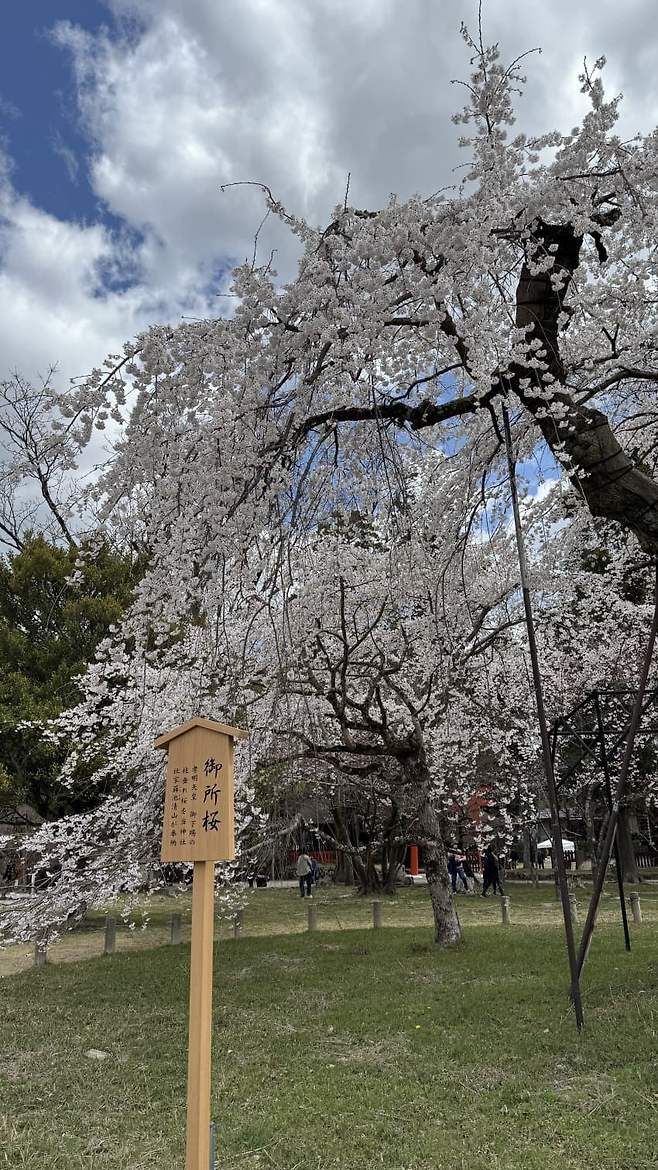 7eeb8275c3851dff23ee8196469c7064d45bded4428a13c26d6da39567134c6e02b533a8ba5e5a41cee2c50690b997bcd73d5050e8