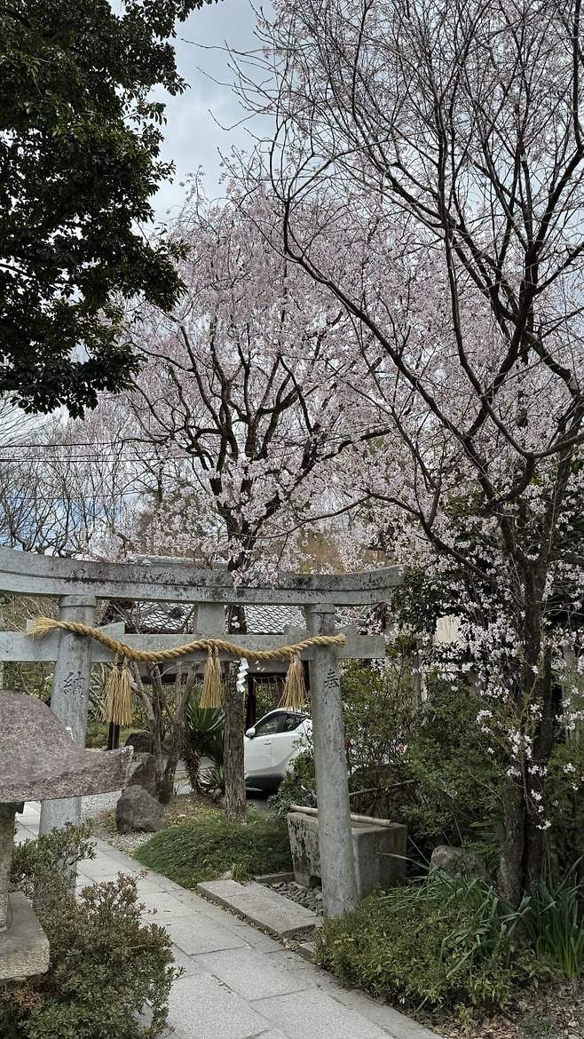 789bf107b3856cfe23eb8693379c706d399dbfab48f24fb2b03a79273111b35c772877545fe7d61fee2ef6e3738c5bfcad1c18457fb4