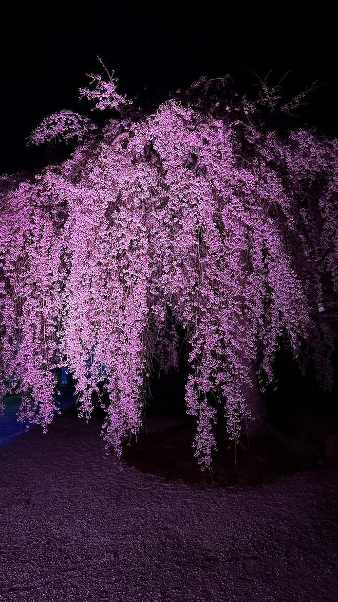 0ce48707bd8b6bf423e9f2e7479c706ebfc03d50d56eed31326146a7a4fcfcf1e10c16203162c98723f1e0437cedd77413c771725b