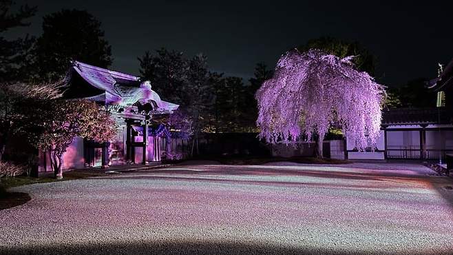 7e988773b3f06a8323ecf596329c7018d56ac83783b7b7621904923dbd6e91a5b5e44e878870b8cb5ff18218f3b4e4943f11b4d011